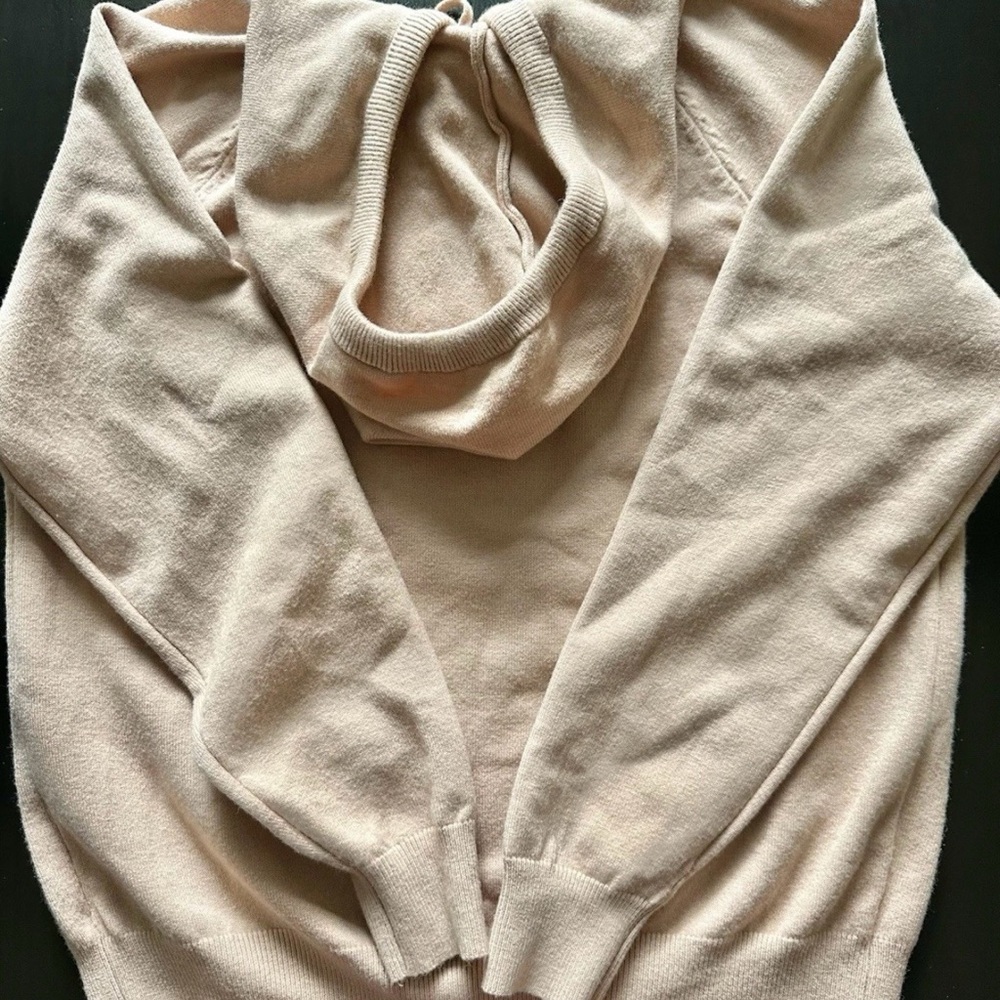 Miu Miu Blush Pink Teddy Pullover Hoodie - Picture 4 of 5